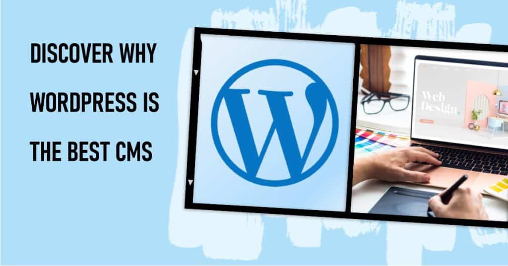 wordpress the best cms